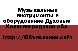 Музыкальные инструменты и оборудование Духовые. Калининградская обл.